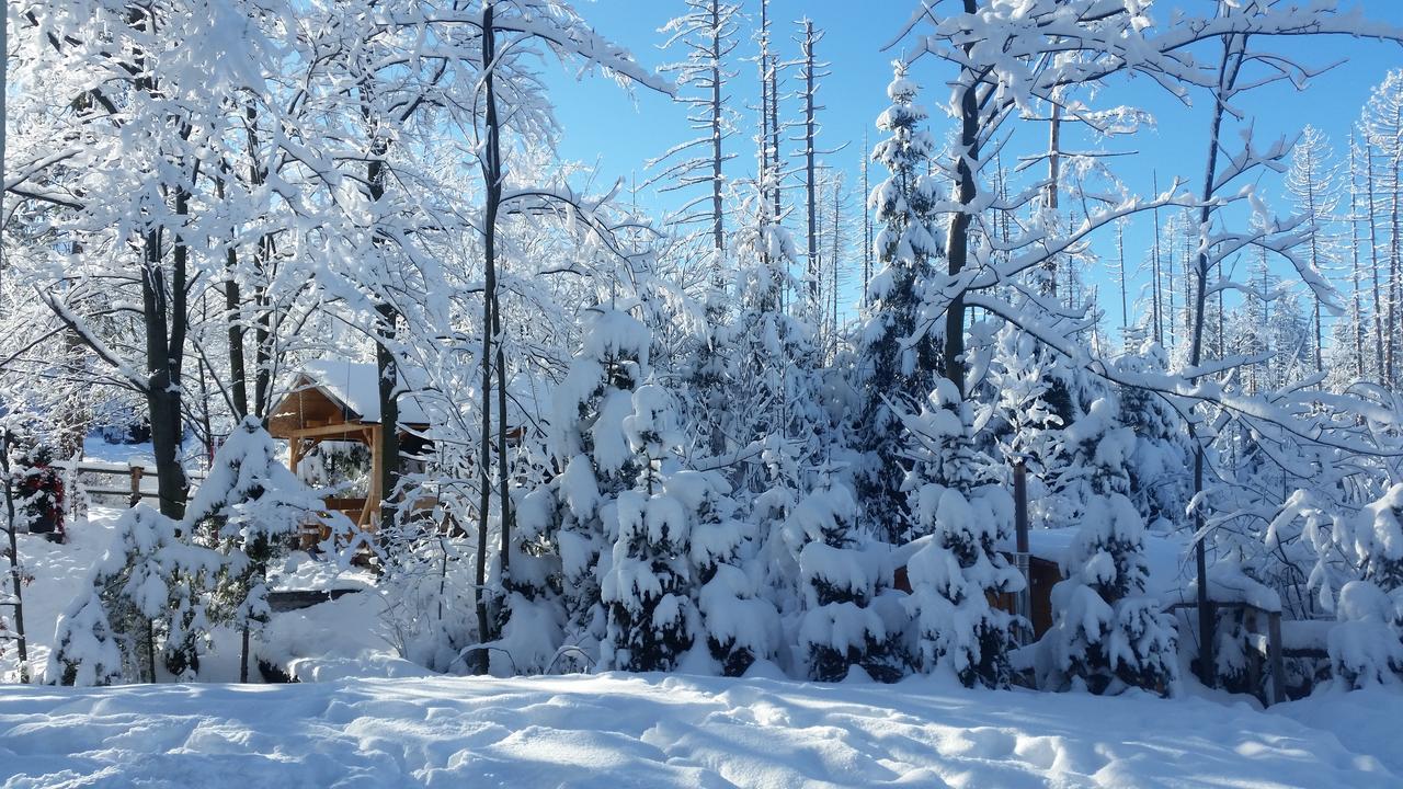 Willa Gusia, Apartamenty Zakopane Exterior photo