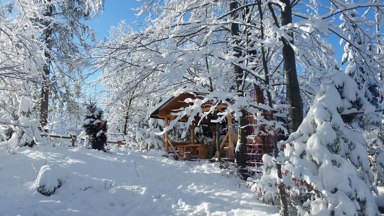 Willa Gusia, Apartamenty Zakopane Exterior photo